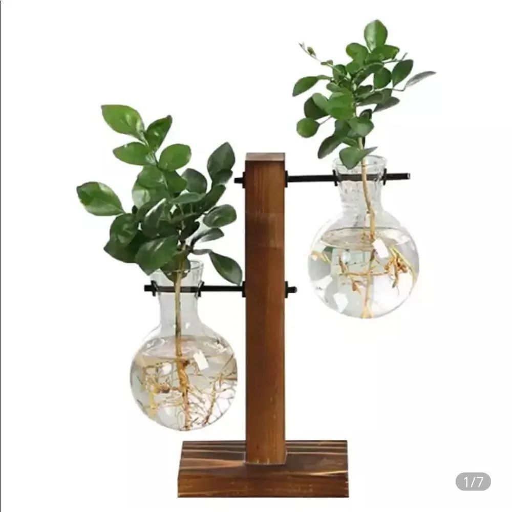 COPY - Hydroponic plant vase